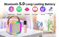 Portable Mini Karaoke Machine Speaker Kits (OEM/ODM)